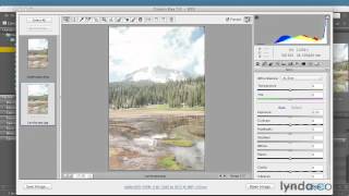 Comparing RAW and JPEG files