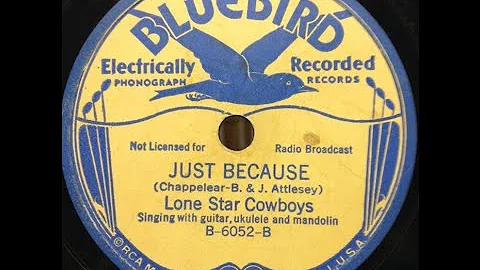 Lone Star Cowboys "Just Because" jug, mandolin, gu...