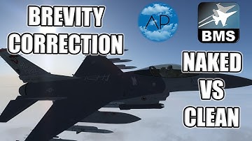 Falcon BMS & DCS | Brevity Terms Clean vs Naked Correction