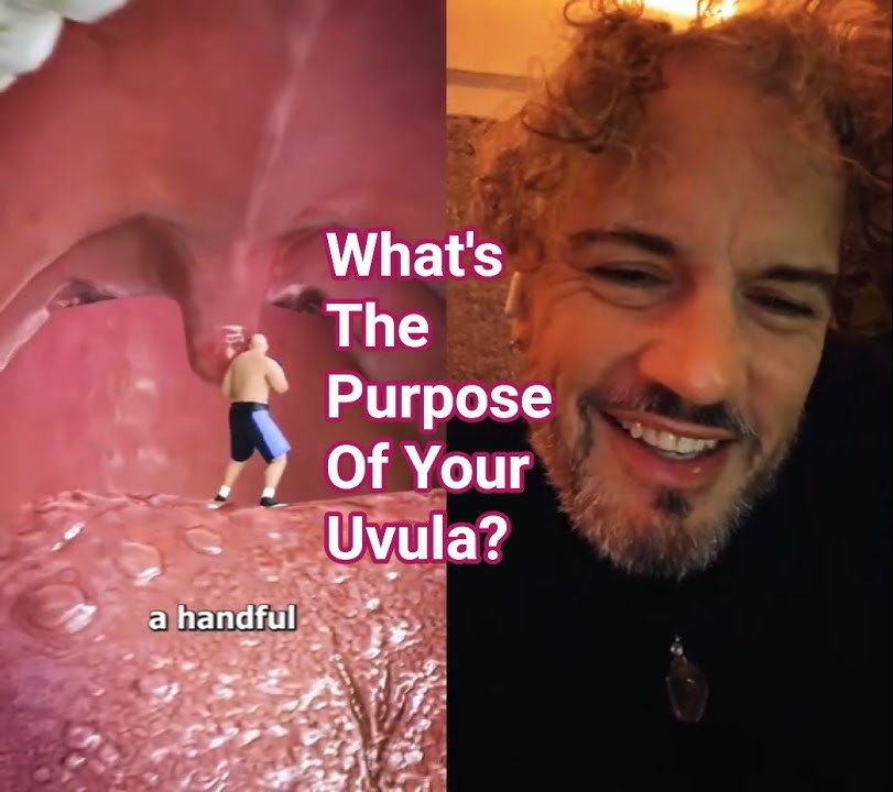 Download lagu What's The Purpose Of Your Uvula?