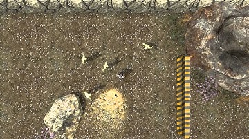 Unity Top Down Test Zombie Shooter