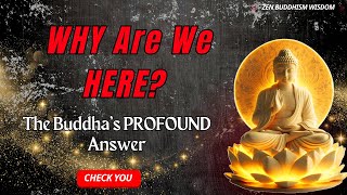 WHY Are We HERE? The Buddha’s PROFOUND Answer! | Buddhist Teachings