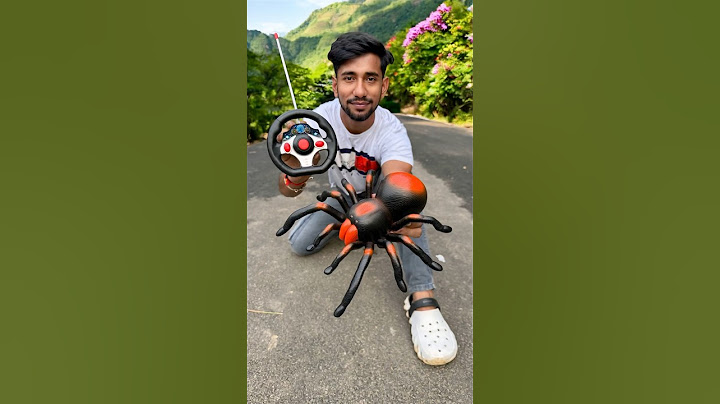 2 Rc sap vs Remote wala spider 😍