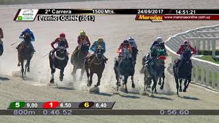 Vidéo de la course PMU PREMIO QUINN