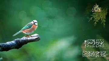 سورة  النساء كاملة 🤲 🥀 بصوت حمدي علي أبوطالب 🪴 Holy Quran Surah An-Nisā'
