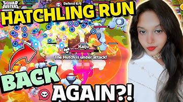 Hatchling Run is Back Again!!!!! x Squad Busters