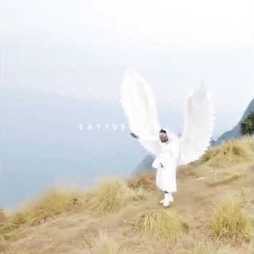 Bijukuttan new edited video  chirakukal mulakkuvan kakkane song