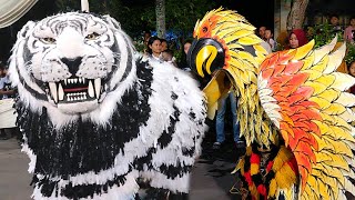 Reog Gembong Kumala Atraksi Kreasi  Desa Munder Wetanyosowilangunlumajang Can Macanan