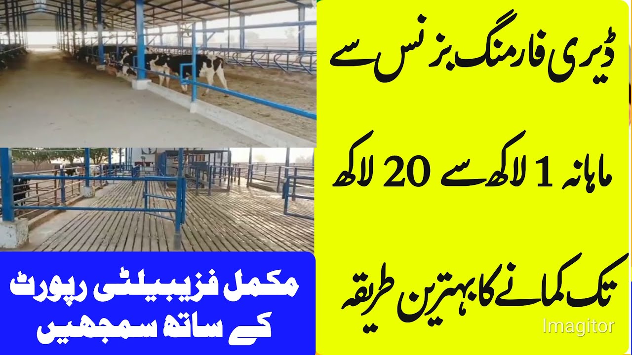 How to earn 1 lac to 20 lacs monthly from dairy farming business/Cow
