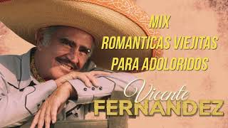 VICENTE FERNANDEZ MEJORES CANCIONES - VICENTE FERNANDEZ 40 GRANDES ÉXITOS MIX