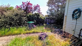 This lady said that her yard was so DEPRESSING | Can it be SAVED!