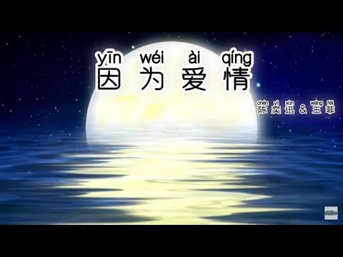 Learn Chinese song  with lyrics/pinyin(english translation)歌词拼音 英文翻译因为爱情 陈奕迅&王菲 Vinyl Records 黑胶唱片