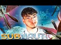 Go aller dans les dunes  subnautica