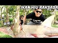 MASAK IKAN HIU RAKSASA JENIS ANEH! WARGA PADA SUKA MASAKAN CHEF BOBON