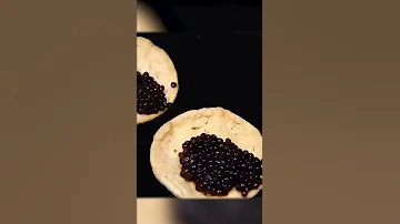 Самая дорогая и редкая икра