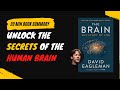 "Unlock the Secrets of the Human Brain: "The Brain" - David Eagleman  - Free Audiobook Summary"