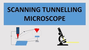 The Scanning Tunnelling Microscope : How it Works and Its Applications