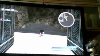 shadow the hedgehog can fly