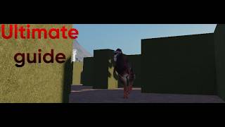 ULTIMATE GUIDE ON LABYRINTH PRIOR EXTINCTION