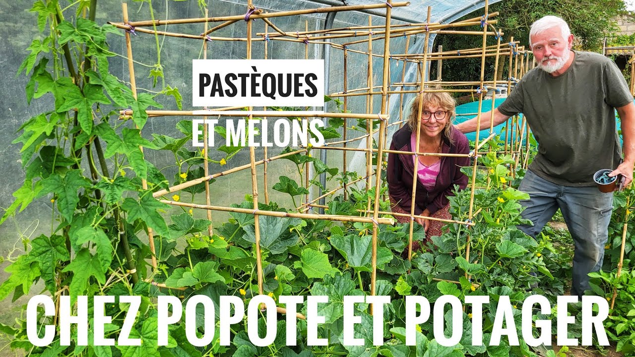 RÉUSSIR LA CULTURE DES  PASTÈQUES ET DES MELONS