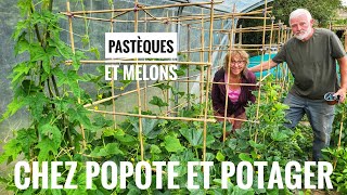 Réussir La Culture Des Pastèques Et Des Melons