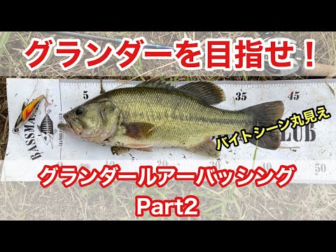 グランダー武蔵　バス釣りルアー 懐かしいグランダー武蔵ルアーで釣りたい！復刻版をキャストして