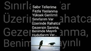 Pınar Başından Bulanır Canım Oy