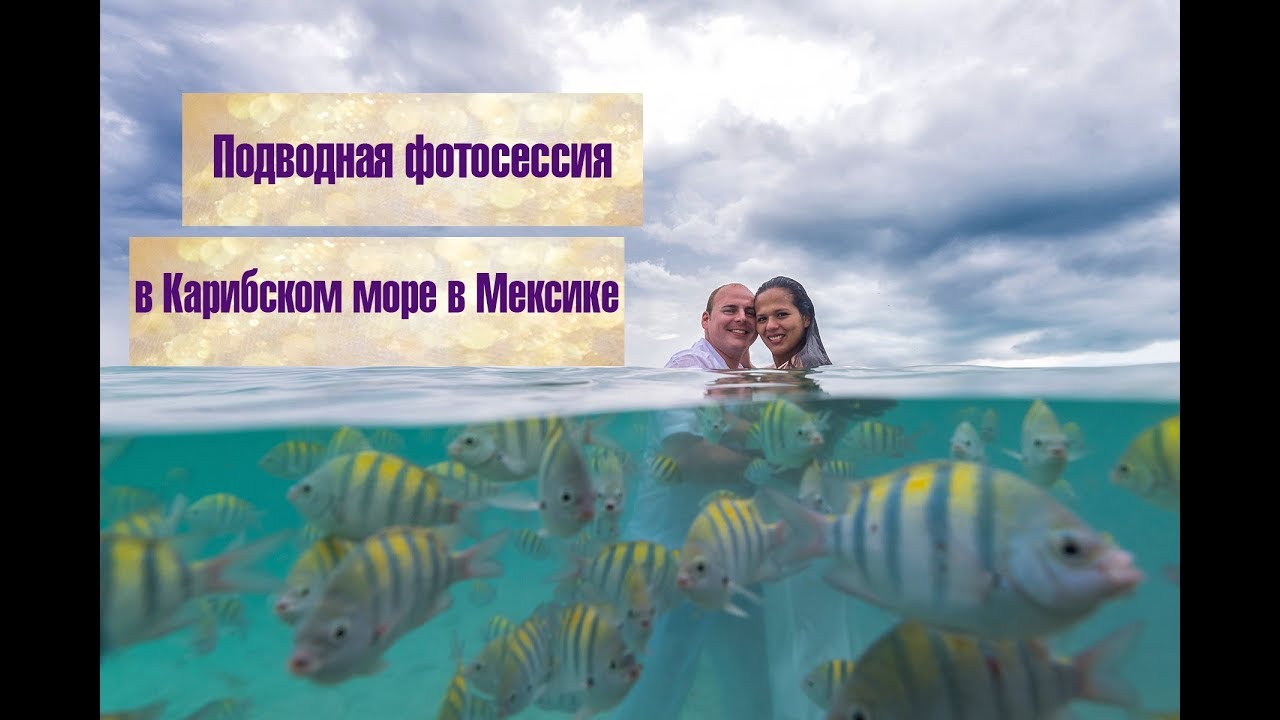 Подводная фотография. Подводная фотосъемка в Карибском море Канкун Мексика.