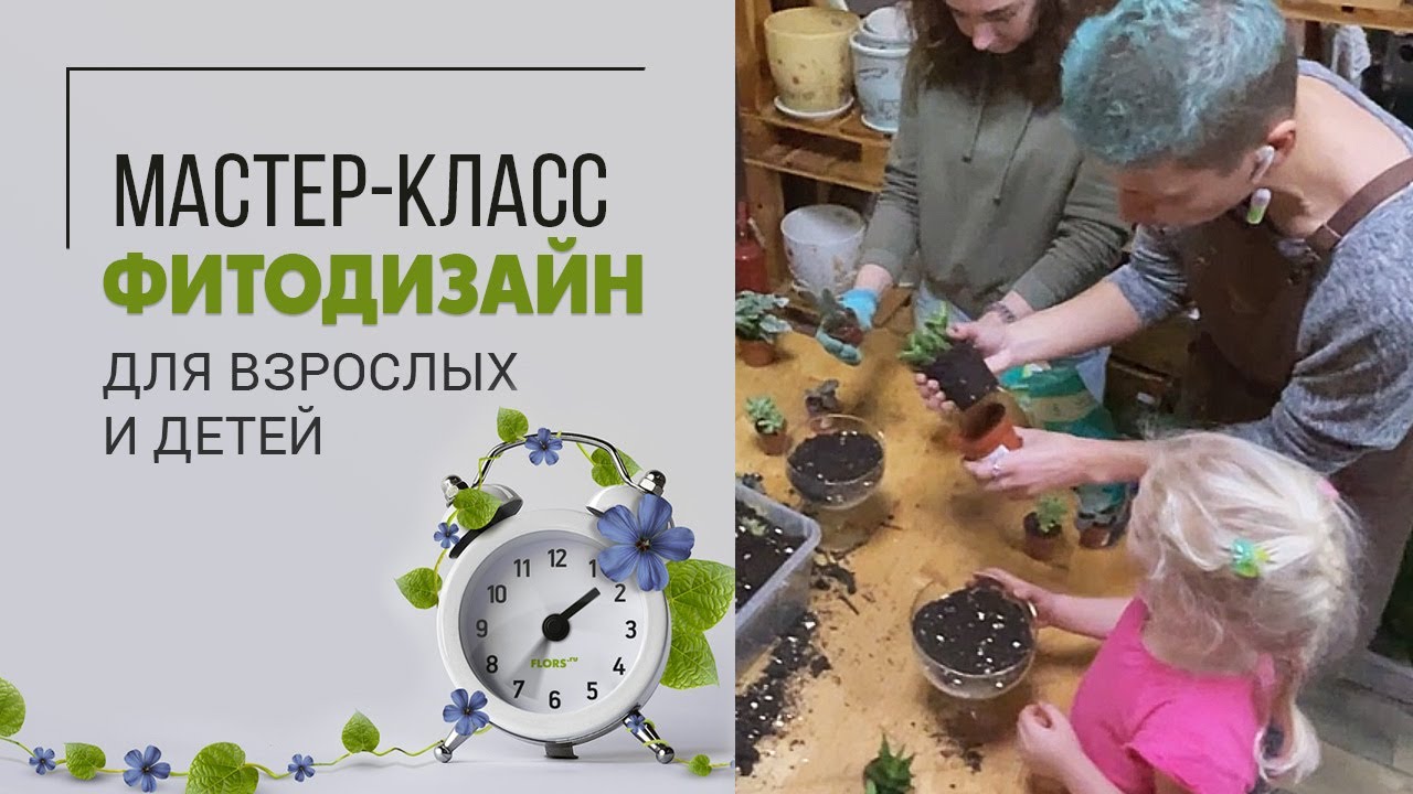 Мастер-класс по фитодизайну от Мистера Флористера - YouTube