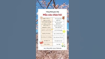 ✏️Mẫu câu chào hỏi cơ bản trong tiếng Nhật🤩