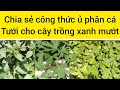 chia sẻ công thức ủ phân cá hữu cơ tưới cho cây trồng xanh mướt như vườn cây ở đà lạt