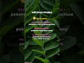 Простые истины для матерей. 🩷🌿