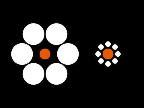 Ebbinghaus Illusion