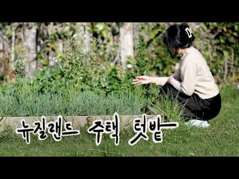 🇳🇿 뉴질랜드 텃밭에서 키운 쪽파와 무로 김치 담그기｜엄마한테 배우는 파농사 🌱