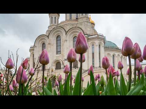 Литургия. Лазарева суббота. Воскрешение праведного Лазаря