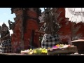 WSPA: Red Collar Campaign video
