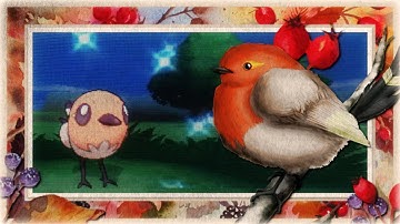 [WSHC] LIVE!! Shiny Fletchling in Pokemon X after Only 699 REs (BQ #5)