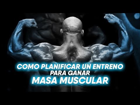 Plan para ganar masa muscular