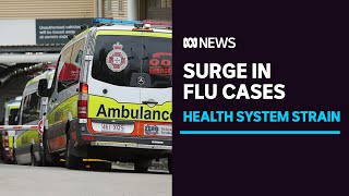 Queensland health system faces 'dire' strain amid surge in flu cases | ABC News