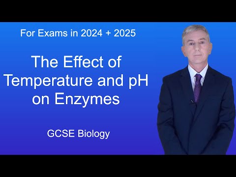 GCSE Science Revision Biology "Effect of Temperature and pH on Enzymes"