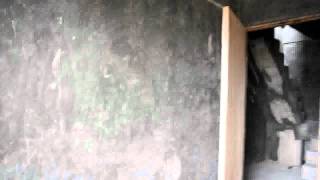 DSC 1170