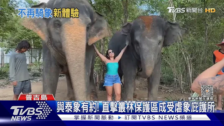 与泰象有约! 直击丛林保护区成受虐象庇护所｜TVBS新闻 @TVBSNEWS01 - 天天要闻