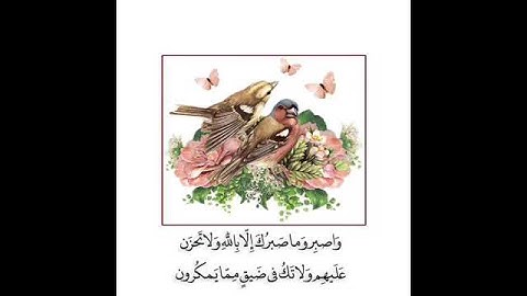 القارئ الشيخ خالد الجليل/حالات واتس اب قرآن كريم