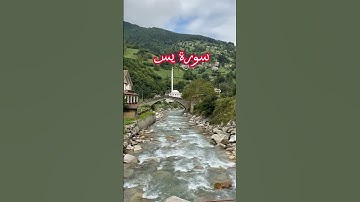 سورة يس بصوت القارئ اليمني محمد الفقيه