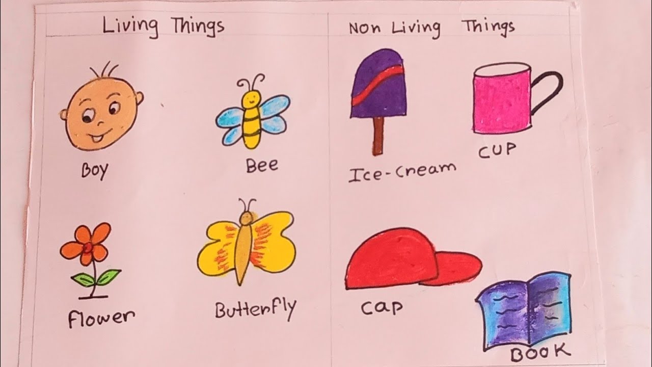 How to Draw of Living & Non-Living Things, Living Things Drawing ...