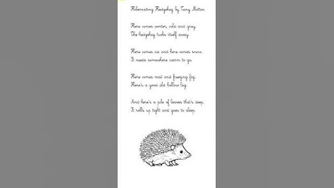 Hibernating Hedgehog by Tony Mitton