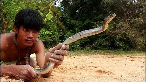 Primitive Technology: Wild Man Find Snake By Spear - Catch Snake By Hand
