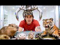 I Found a Live Animal Claw Machine Off the Web…