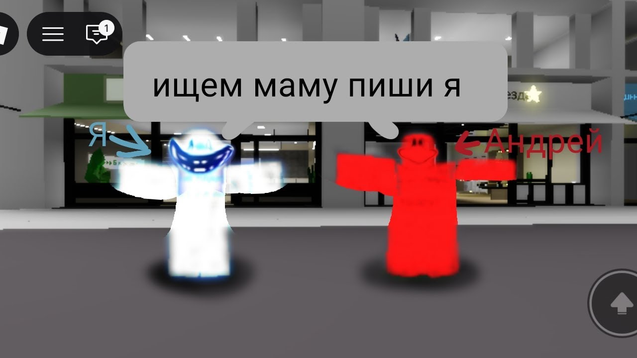 Я и Андрей претворились кулкидом и блудудом в Брукхевен РП!