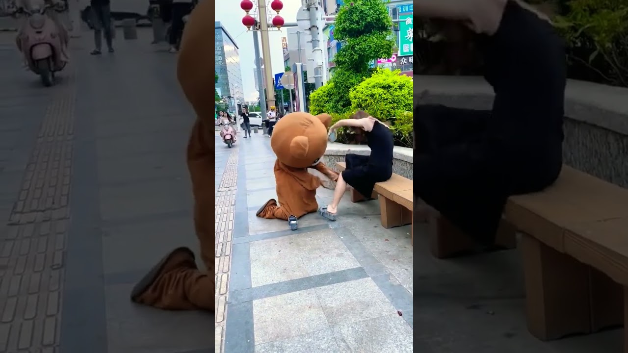 Super Muddy Bear funny 